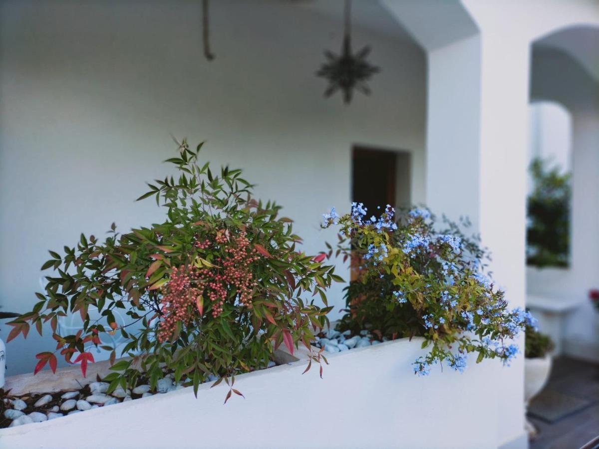 סן ג'יובאני טאטינו Villa Margherita מראה חיצוני תמונה